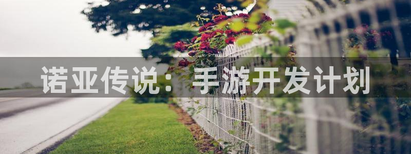 庄闲游戏优惠：诺亚传说：手游开发计划