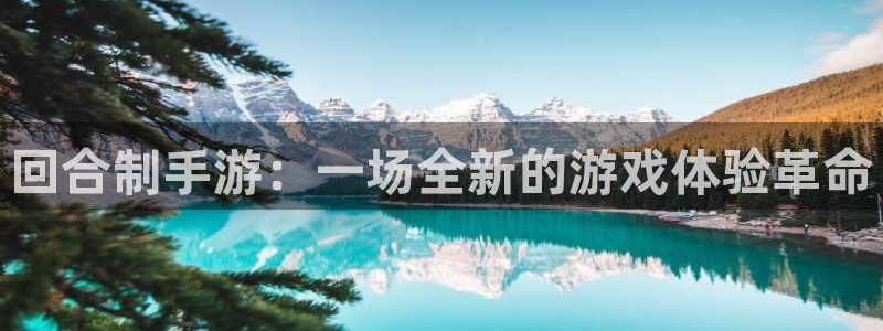 庄闲玩法和规则详解：回合制手游：一场全新的游戏体验革命