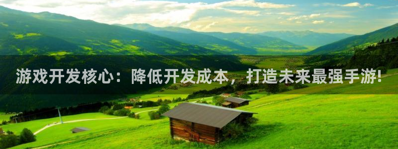 庄闲游戏微博：游戏开发核心：降低开发成本，打造未来最强手游!
