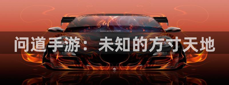 庄闲游戏(官方)官方网站：问道手游：未知的方寸天地