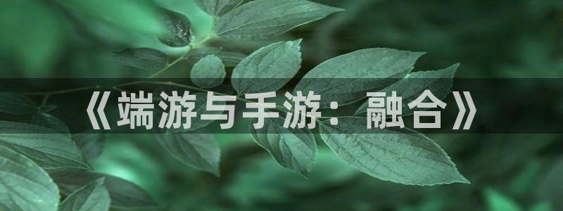 庄闲游戏苹果app：《端游与手游：融合》
