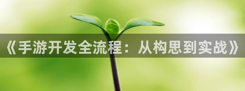 庄闲游戏稳赢规则：《手游开发全流程：从构思到实战》