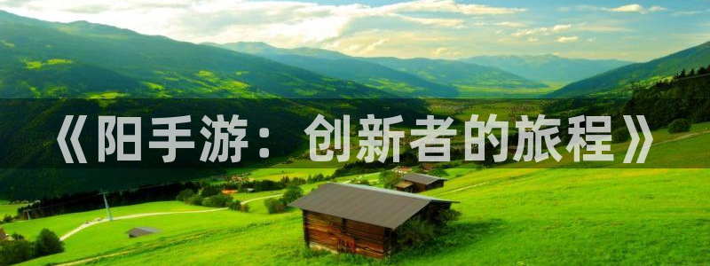 庄闲玩法叫：《阳手游：创新者的旅程》