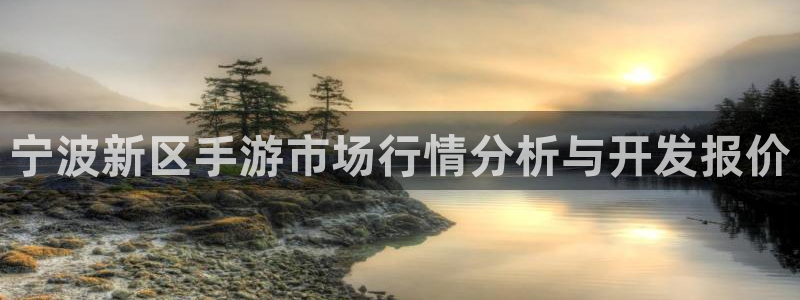 庄闲游戏提取：宁波新区手游市场行情分析与开发报价