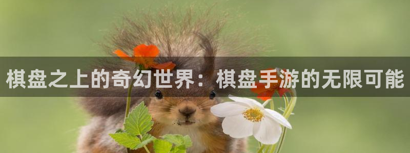 庄闲游戏优惠：棋盘之上的奇幻世界：棋盘手游的无限可能