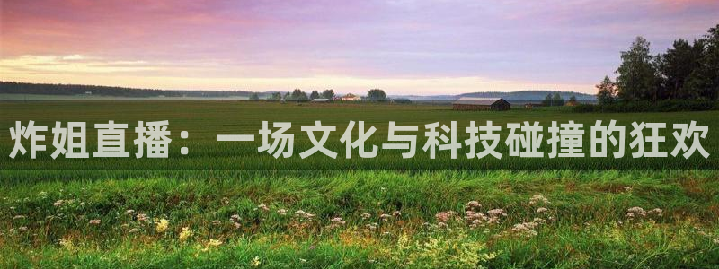 so米体育官网下载：炸姐直播：一场文化与科技碰撞的狂欢