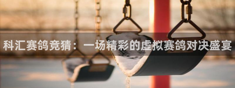 so米体育网页版：科汇赛鸽竞猜：一场精彩的虚拟赛鸽对决盛宴
