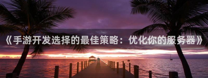 庄闲游戏官方版：《手游开发选择的最佳策略：优化你的服务器》
