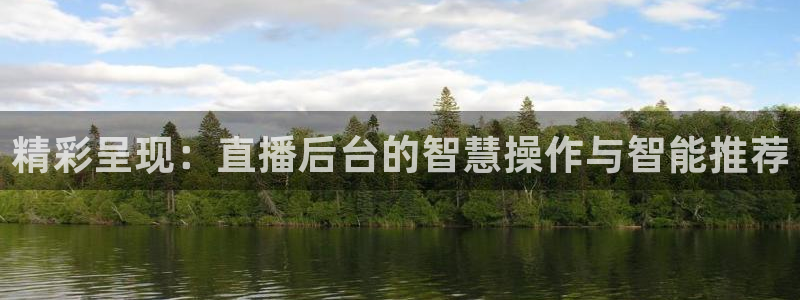so米直播篮球在线直播：精彩呈现：直播后台的智慧操作与智能推荐