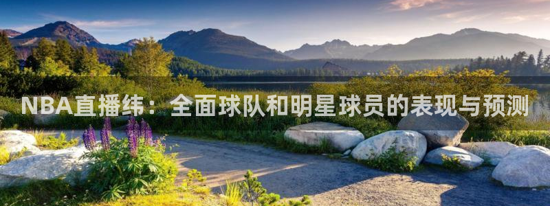 so米体育免费观看：NBA直播纬：全面球队和明星球员的表现与预测