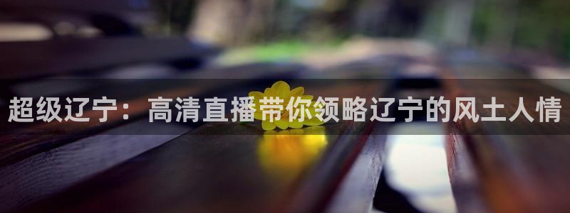 足球so米直播：超级辽宁：高清直播带你领略辽宁的风土人情