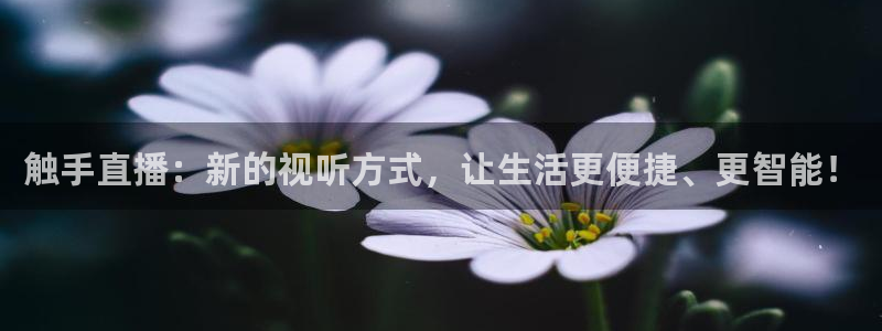 so米体育app：触手直播：新的视听方式，让生活更便捷、更智能！
