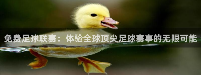 so米直播nba直播：免费足球联赛：体验全球顶尖足球赛事的无限可能
